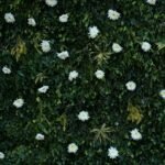 Living wall Koh SAmui Interior design