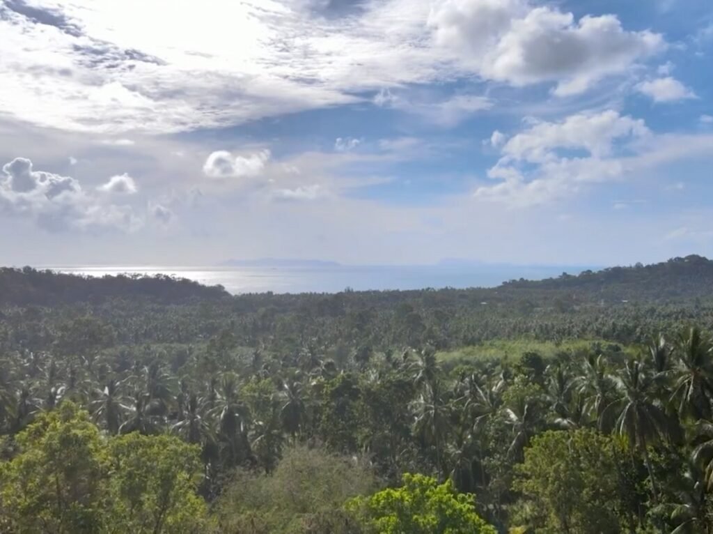 Namuang-Article